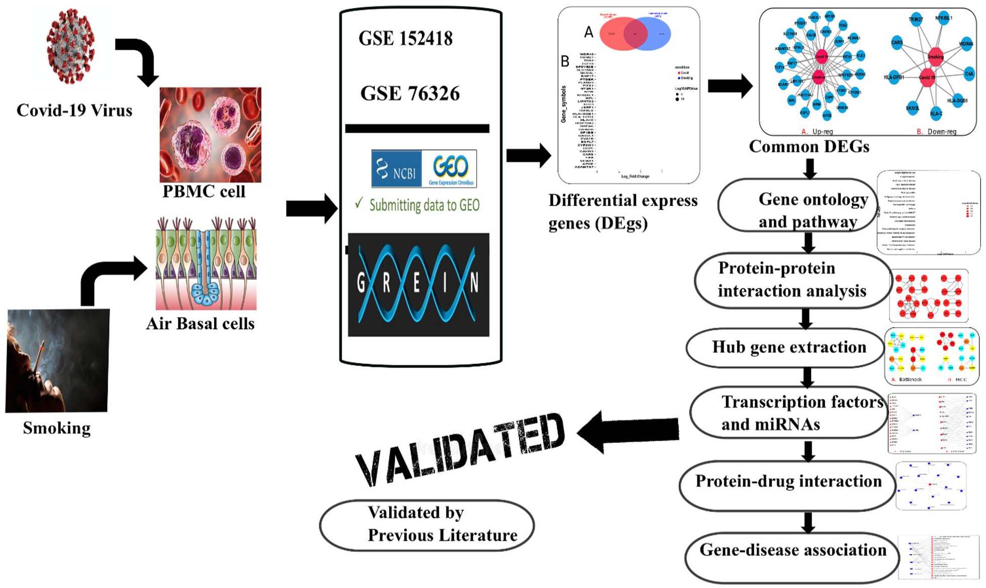 COVID-19 and smoking network biomarker protein-protein interactions
